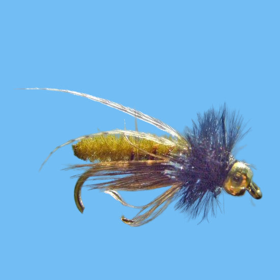 Caddis Pupa - Extended Body