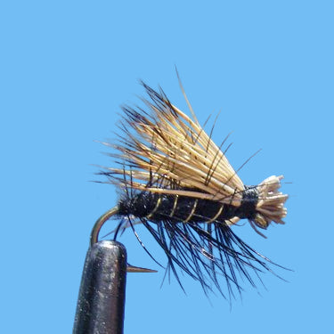 Black Caddis