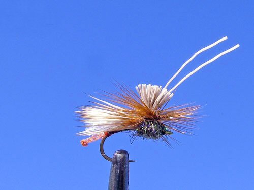 Wilcox Caddis