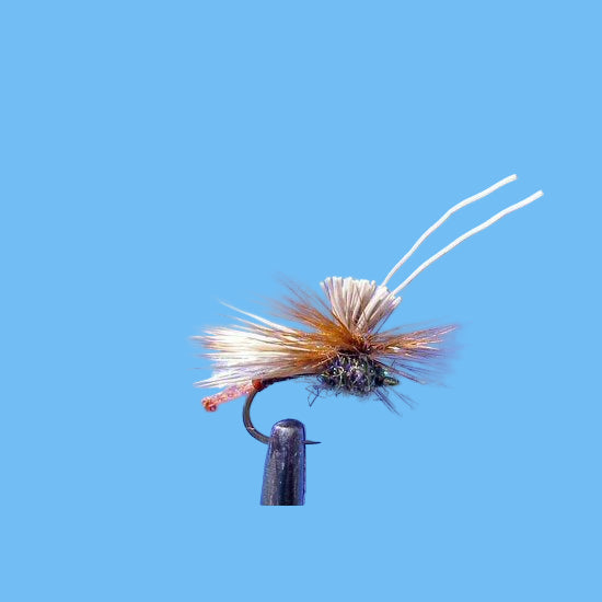 Wilcox Caddis