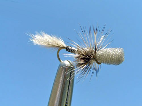 Crippled Callibaetis