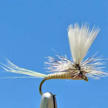 Hatch Master Fly Pattern Parachute Callibaetis Dry Fly — Callibaetis Mayfly Pattern | Glenwood ...