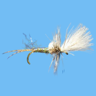 Crippled Callibaetis