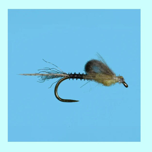 Captive Dun Green Drake