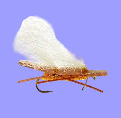 Chubby Chernobyl - Golden