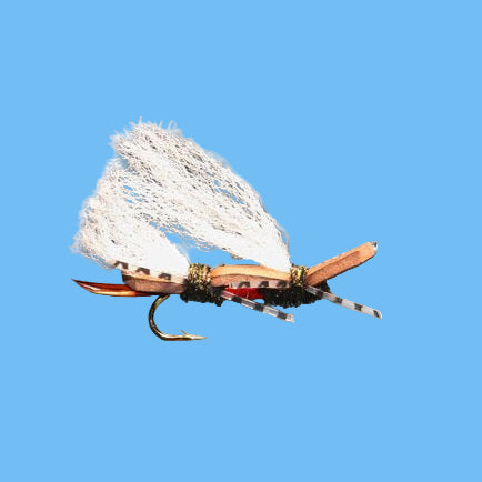 Chubby Chernobyl - Royal (Copy)