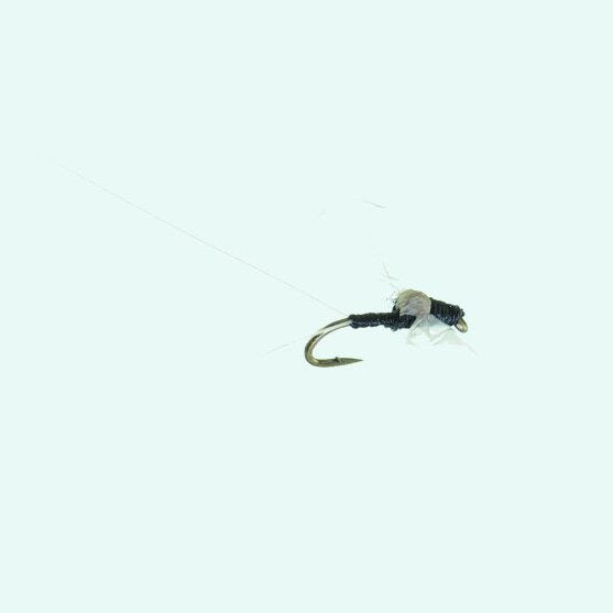 Clear Wing Spinner Trico