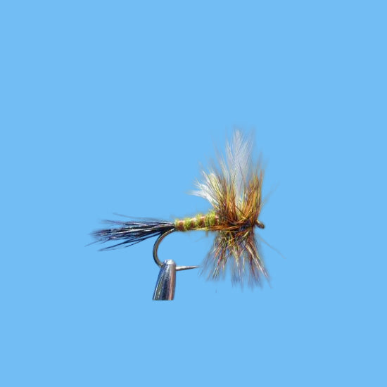 Colorado Green Drake