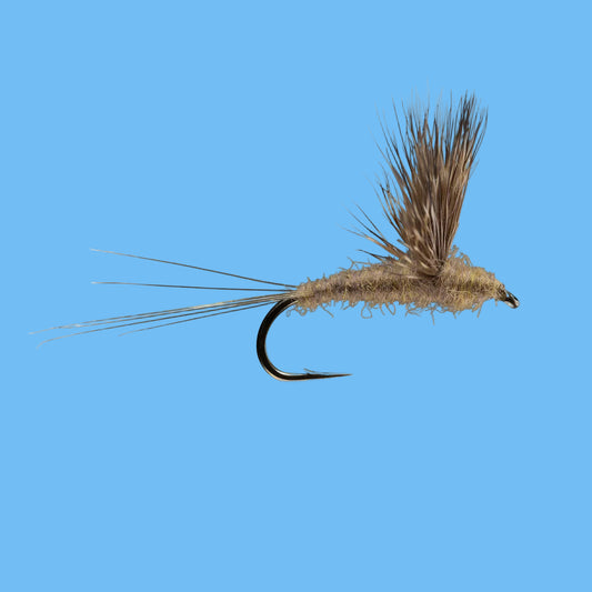 Comparadun - Callibaetis