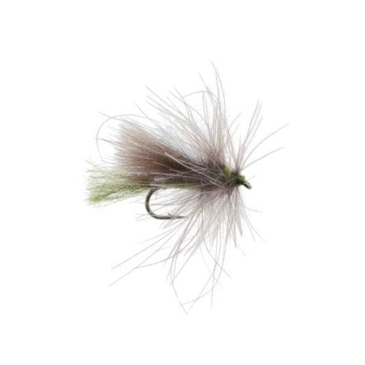 Corn Fed Caddis olive dry fly pattern sizes 16 and 18 for caddis hatch fishing on the Roaring Fork and Frying Pan rivers in Colorado