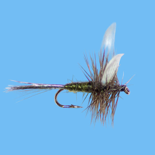 Dark Olive Quill