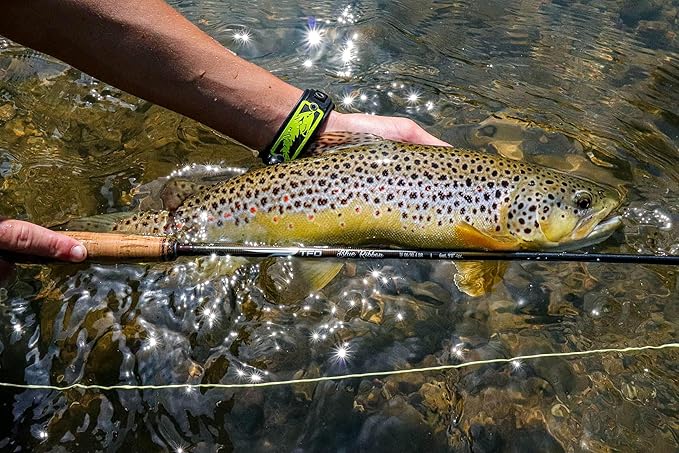 TFO Blue Ribbon 8’6 4 WT