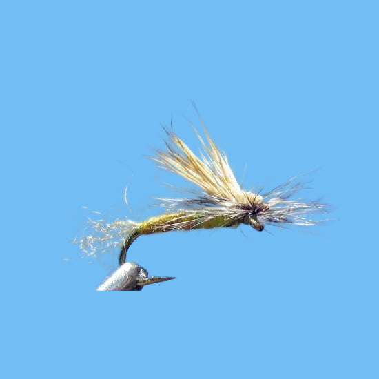 EC Caddis - Olive