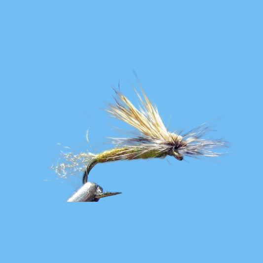EC Caddis - Olive