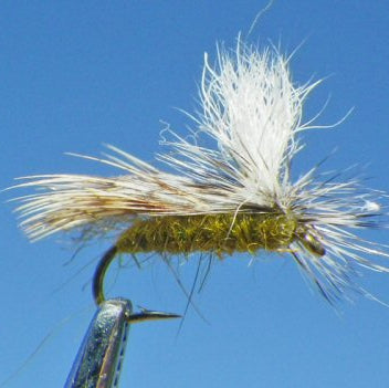 E-Z Caddis - Olive