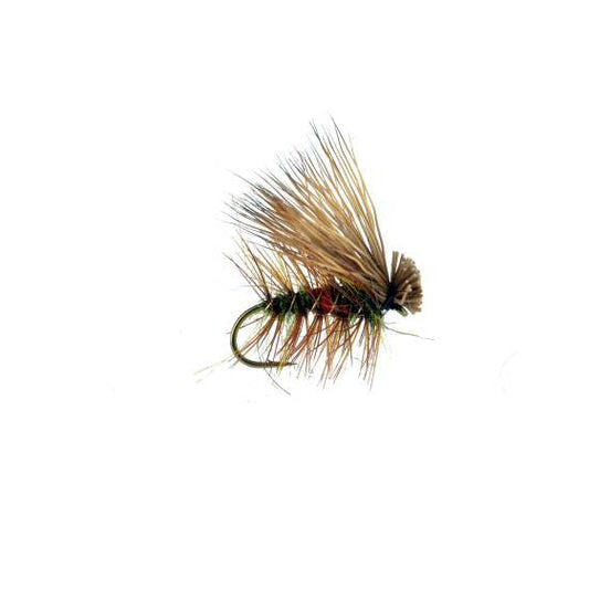 Elk Hair Caddis Royal Coachman attractor dry fly sizes 10, 16 and 18 with peacock herl body and white elk hair wing — available at Glenwood Springs Outdoors
