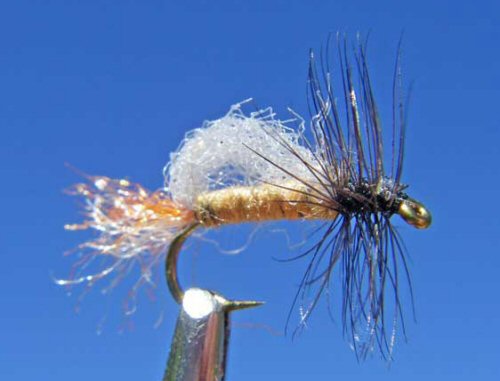 FPA Special Emerger - PMD