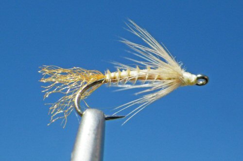 FPA Special Emerger trailing shuck - PMD
