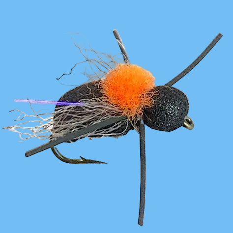 Fathead Beetle
