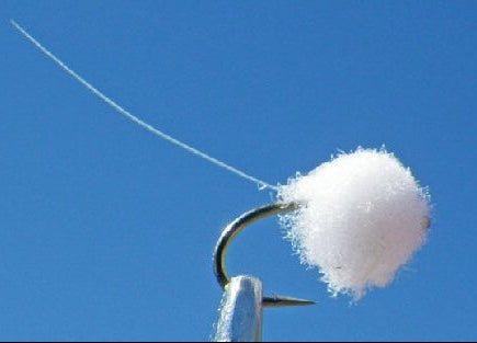 Flash Tail Egg - Cream