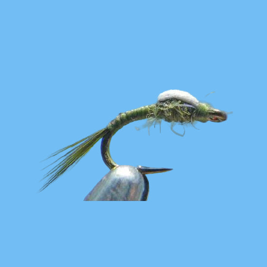 Foamback Emerger - Midge Fly Pattern | Glenwood Springs Outdoors