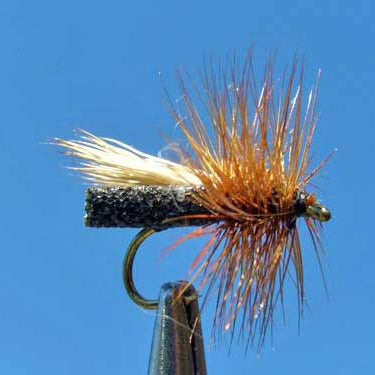 Foam Caddis - Black