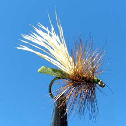 Foam Caddis - Olive