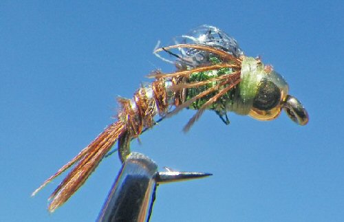 GB Angel Case Emerger