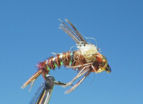 GB Angel Case Emerger