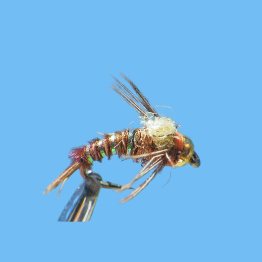 GB Angel Case Emerger