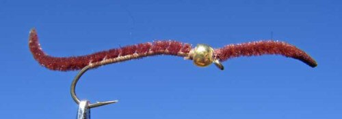 GB San Juan Worm - Brown