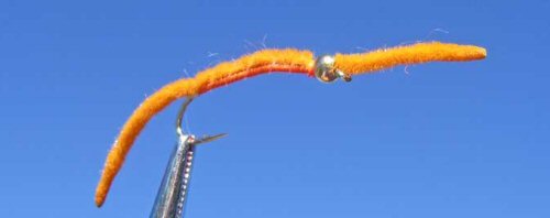 GB San Juan Worm - Orange