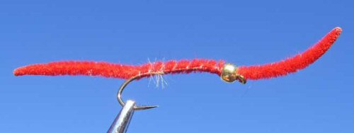 GB San Juan Worm - Red