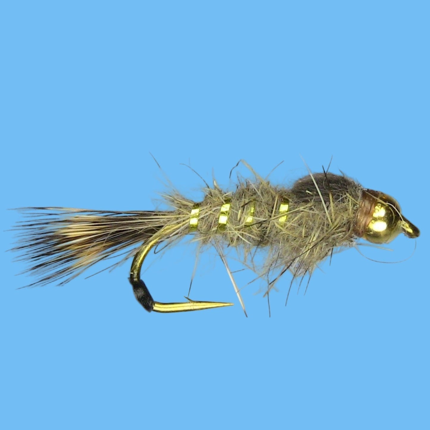 GB Gold Ribbed Hare's Ear