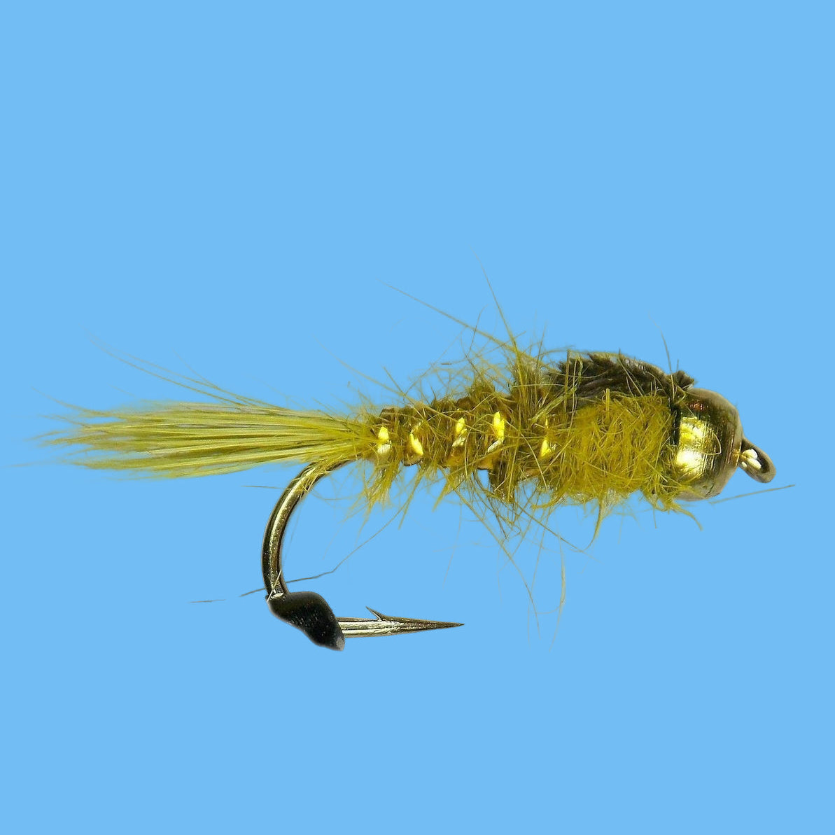 GB Gold Ribbed Hare's Ear - Olive