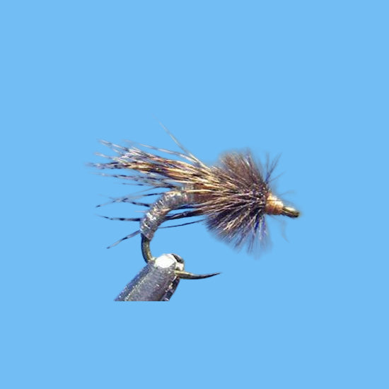Graphic Caddis