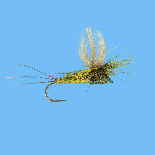 Green Drake CDC Loopwing