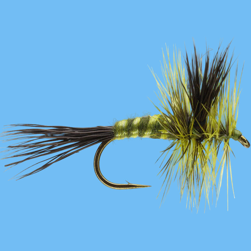 Green Drake Wulff