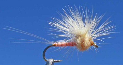 Hacklestacker Mayfly Dun - PMD