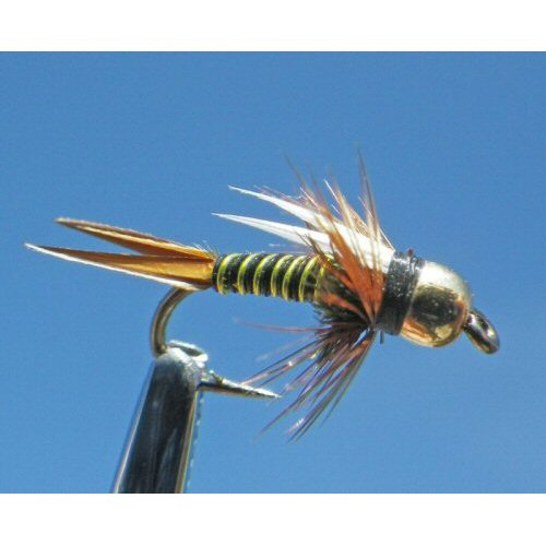 Hotwire Prince - Black/Chartreuse