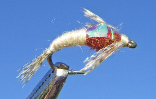 Hunchback Two/Tone - Brown/Cream