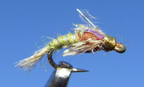 Hunchback Two Tone - Olive/Brown