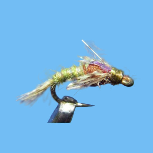 Hunchback Two Tone - Olive/Brown