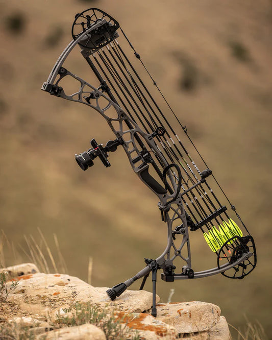 Hoyt Go Stix 2.0