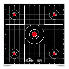 Dirty Bird 12” Sight-in Targets