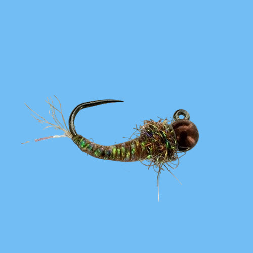 Jigged Coffee Larva