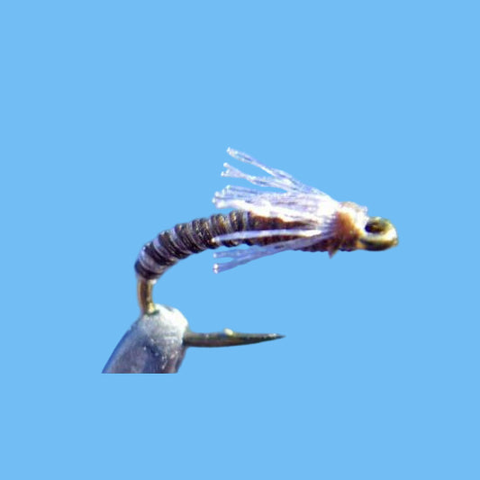 Juju Bee Midge - Brown