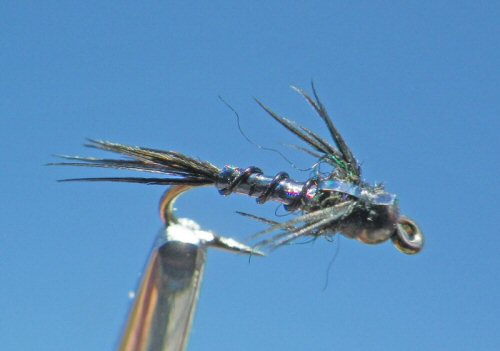 Lightning Bug - Black