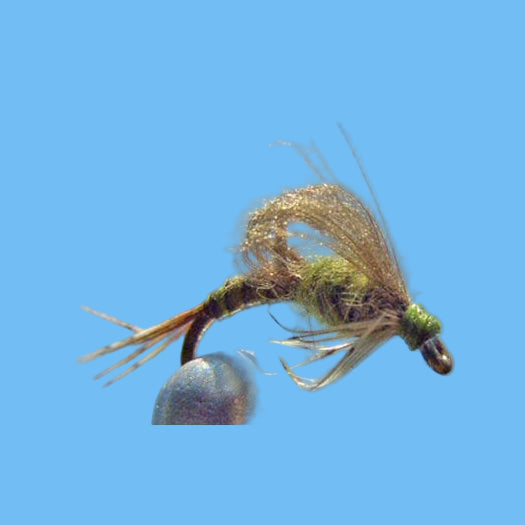 Loopwing CDC emerger - Olive