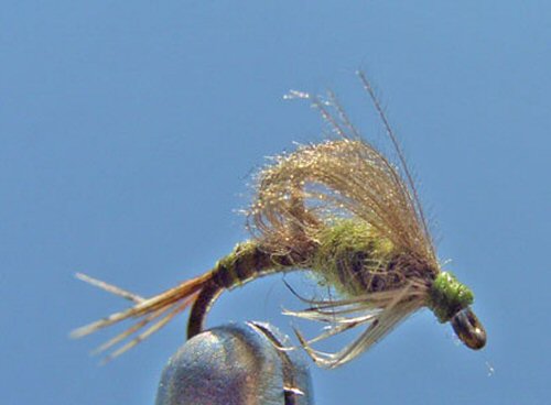 Loopwing CDC emerger
